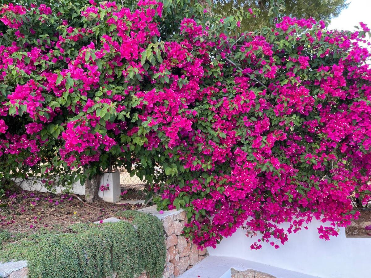 Es Queixal - Can Canet Con Piscina Exterior Climatizada Кала-Ваделья Екстер'єр фото